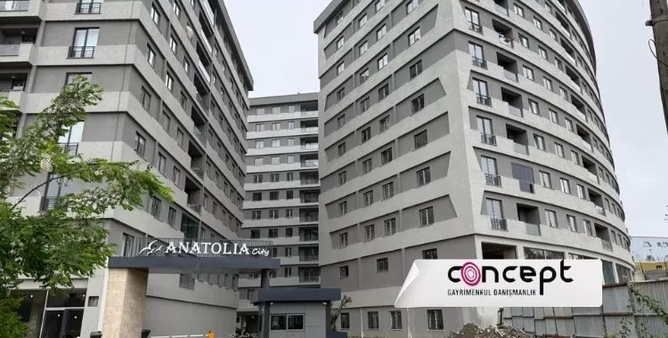 Anatolia City Tuzla Kiralık & Satılık Daireler